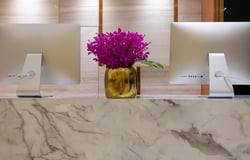 Posh (posh.vip) Thumbnail