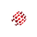 SANeForce Logo