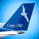 Cape Air Logo