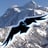 Mt. Baker Ski Area Logo