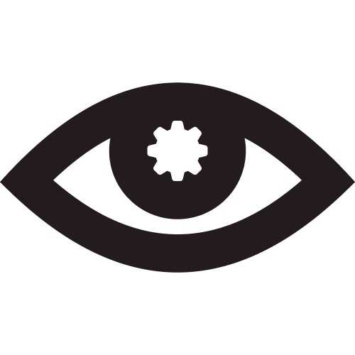 Vision Engineer