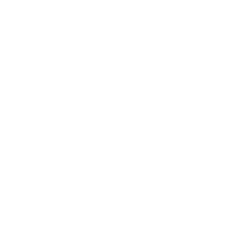 Everstar Inc.