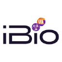 iBio CDMO LLC
