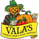 Vala's Pumpkin Patch