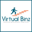 Virtual Binz LLP