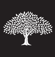 Alternative Wellness Services Inc