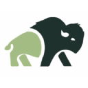 The Bison Group