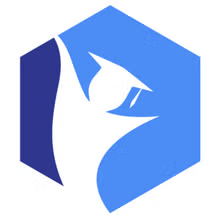 The Connect Academy