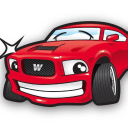 Wiggy Wash