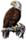 Freedom Academy, Inc.