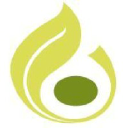 Wood Violet Fertility LLC