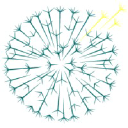 Dandelion Health Inc