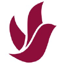 Newcomer Funeral Service Group