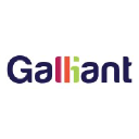Galliant