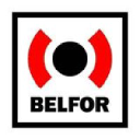 BELFOR USA Group, Inc.