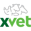 XVET GmbH
