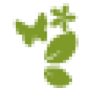 The Green Initiative