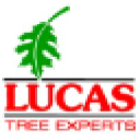 Lucas Tree Experts