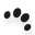 Dr. Paws
