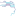 Cerebrocare, Inc.
