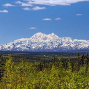 Denali Park Adventures