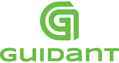 Guidant, Inc
