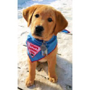 Leader Dogs for the Blind, Inc.