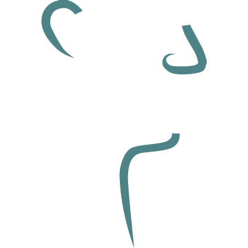 Central Texas Sinus & Allergy, PLLC