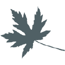 Silver Maple Recovery