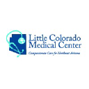 Winslow Memorial Hospital Inc. (d/b/a Little Colorado Medical Center)