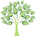 Stonebranch Healthcare Ltd